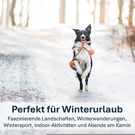 Ferienwohnung Ursel 塞巴特黑灵斯多夫 外观 照片